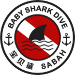 Baby Shark Dive